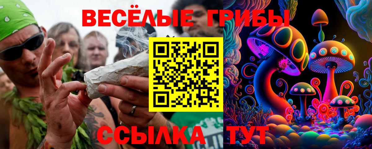 Галлюциногенные грибы Psilocybine cubensis Углич