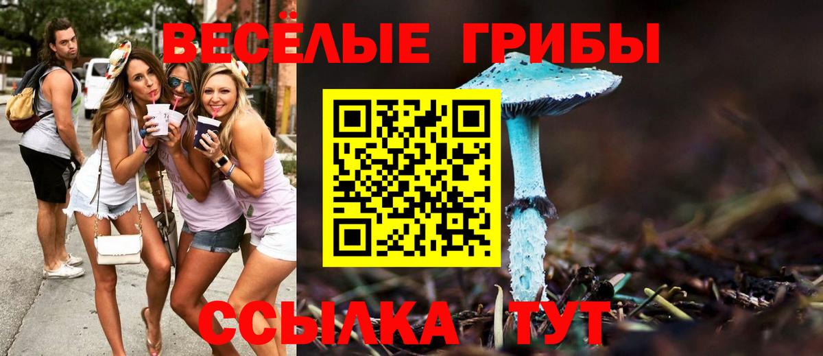 Углич  купить   Вход с VPN  Псилоцибиновые грибы GOLDEN TEACHER 
